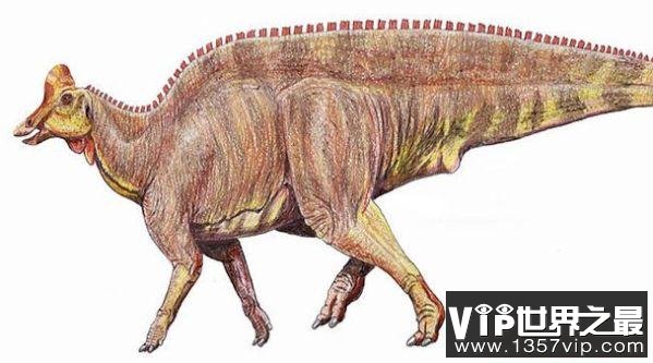 世界最大的史前动物Top10 阿根廷龙（长36.5米，重100吨）排第一