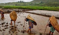 世界上降水量最大的地方 几乎每天都在下雨（毛辛拉姆）