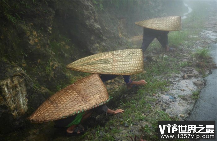 世界上降水量最大的地方 几乎每天都在下雨（毛辛拉姆）
