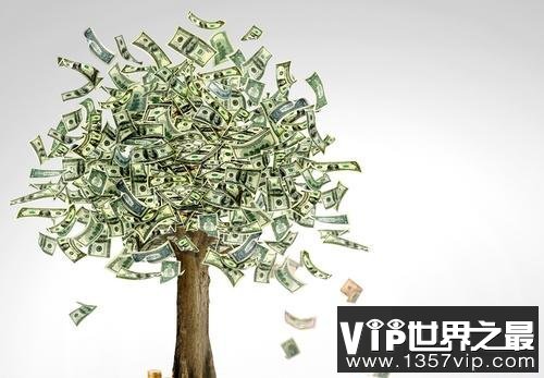 世界上最大的摇钱树，有密集恐惧症的人别看！