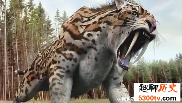 剑齿虎——冰川时期的顶级捕食者之一