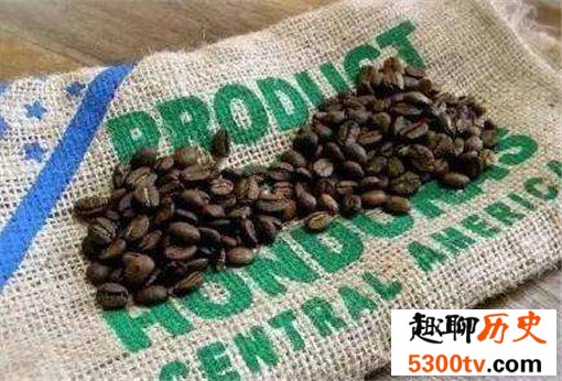 世界上最贵的10种咖啡，仅一磅就要350美元