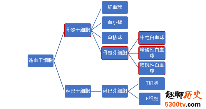 白血病为什么叫“白”血病