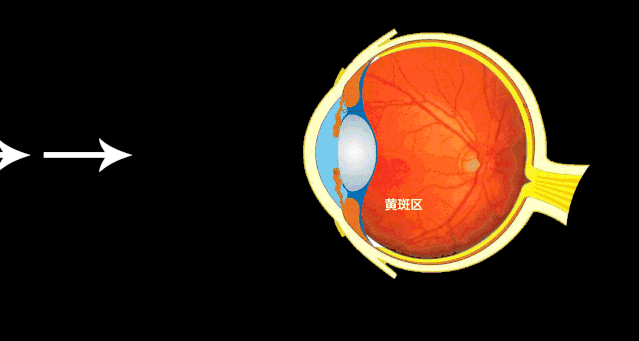 手机护眼模式并不能完全保护眼睛