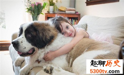 十种世界上最大的狗排名，太阳神犬大丹体长2.2米