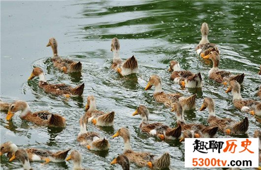 中国十大贫困县，贫困程度难以想象
