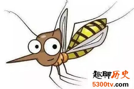 世界上最大的蚊子 除了外形特征不同竟还有如此特性