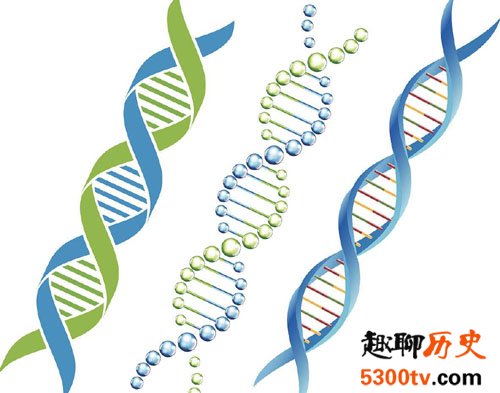 人类有97%的DNA是没有用的
