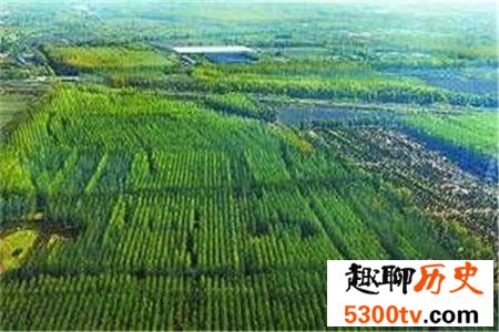 你知道世界上最大的平原在什么地方吗，竟然不在中国