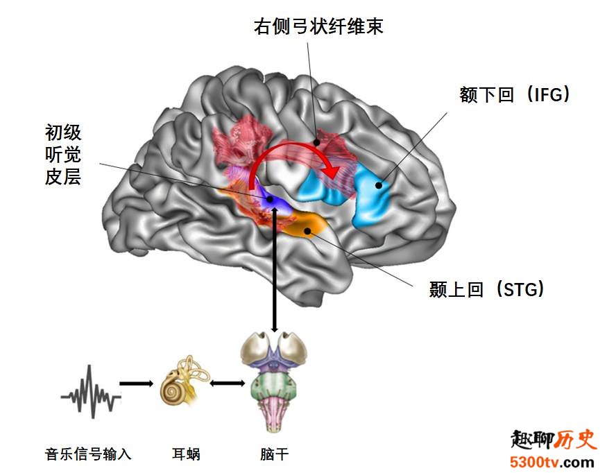 唱歌跑调是一种病？可能得了失歌症