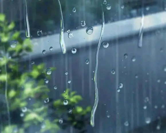 为什么雨水闻起来很好闻