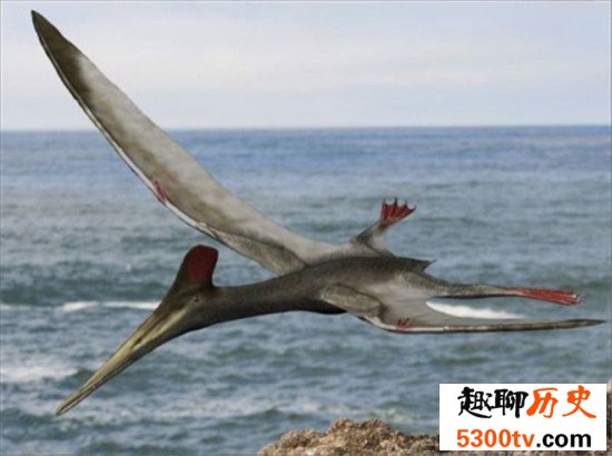 世界上最大的飞行动物风神翼龙 争霸天空以恐龙为食物