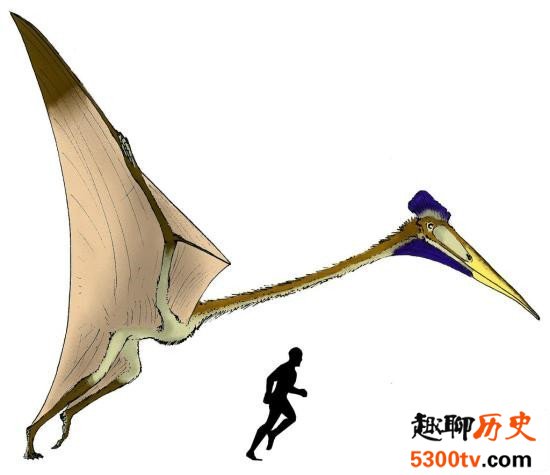 世界上最大的飞行动物风神翼龙 争霸天空以恐龙为食物