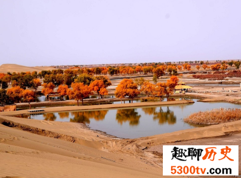 中国十大最美的露营旅游地，沙漠露营尝试一波？