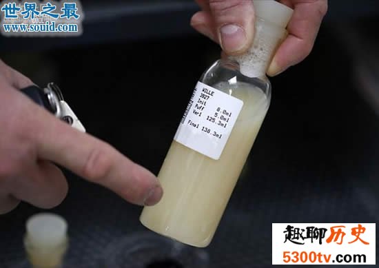 世界上最贵的精液，价值35万既然还被偷走
