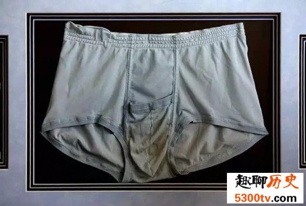 世界上最贵的十大“粪便”-猫王的脏内裤
