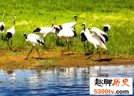 中国最美十大湿地，湿地竟然危机重重？