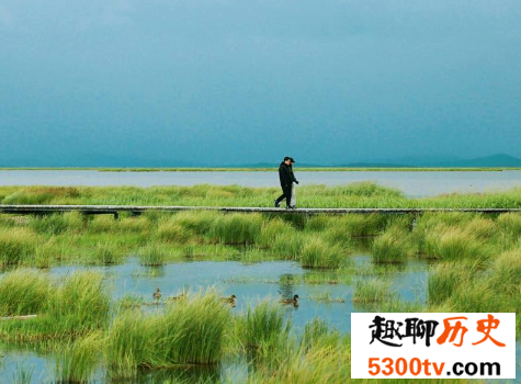 中国最美十大湿地，湿地竟然危机重重？
