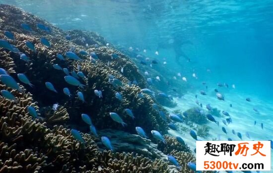 中国十大美丽海岛排行榜，不容错过的人间美景。