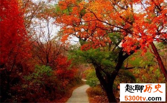 国内十大赏枫胜地，盘点中国枫叶最美的那些地方！