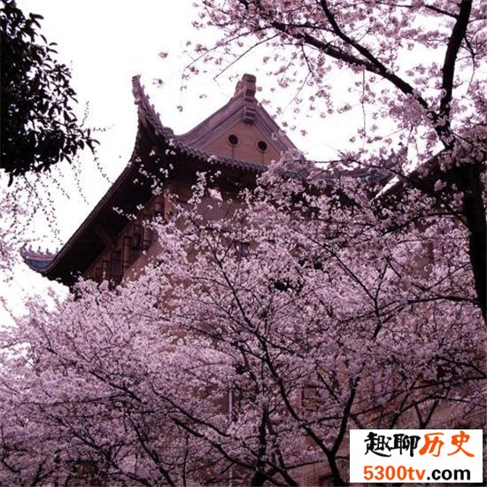 中国最佳赏花十大圣地，这些地方就是花的天堂！