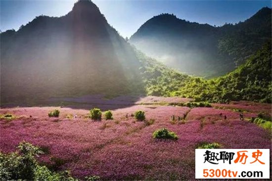 中国最佳赏花十大圣地，这些地方就是花的天堂！