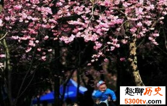 清明小长假国内十大踏春胜地，假期就该去旅行。