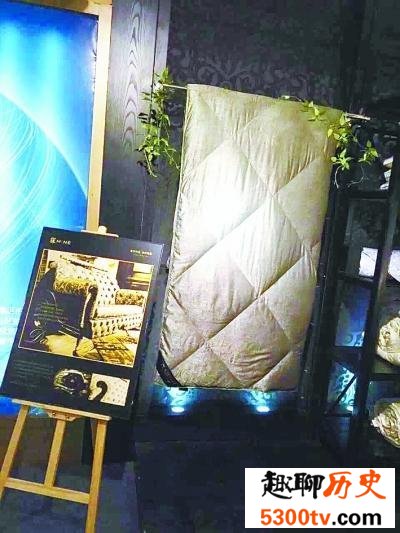 世界上最贵的羽绒被，40万一床