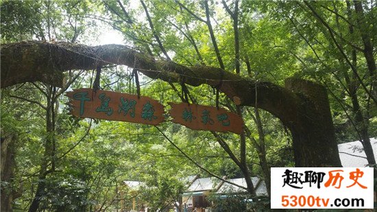 中国十大森林氧吧大盘点，中国空气质量最好的地方都在这！