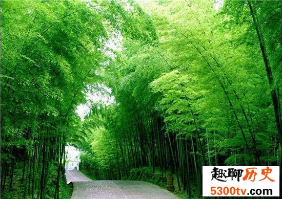 中国十大森林氧吧大盘点，中国空气质量最好的地方都在这！