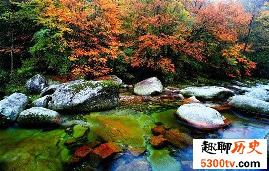 中国十大森林氧吧大盘点，中国空气质量最好的地方都在这！