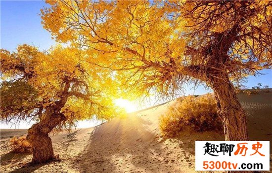 中国十大森林氧吧大盘点，中国空气质量最好的地方都在这！
