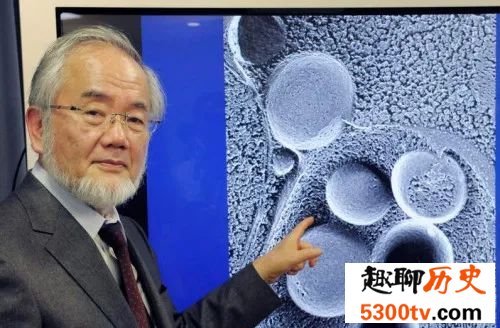 【辟谣】空腹16个小时 身体就会自己吃自己吗