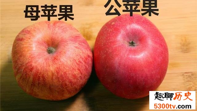 【辟谣】水果分公母且公的更好吃吗