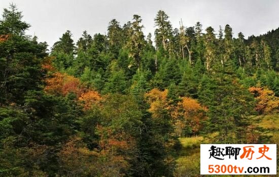 中国十大森林氧吧，浙江千岛湖竟然位于榜单榜首。