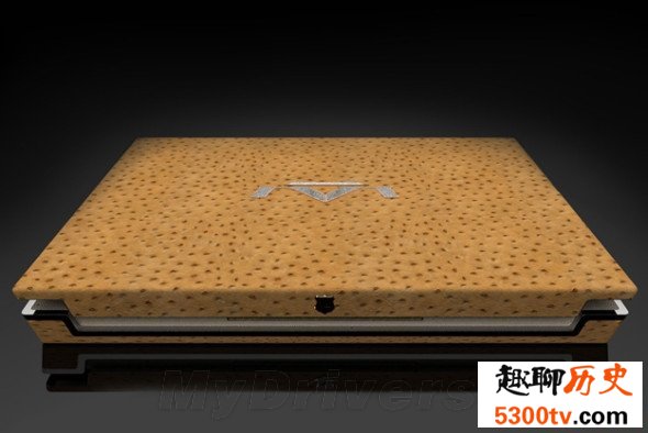 世界上最贵的电脑，蓝色基因(150万美元)