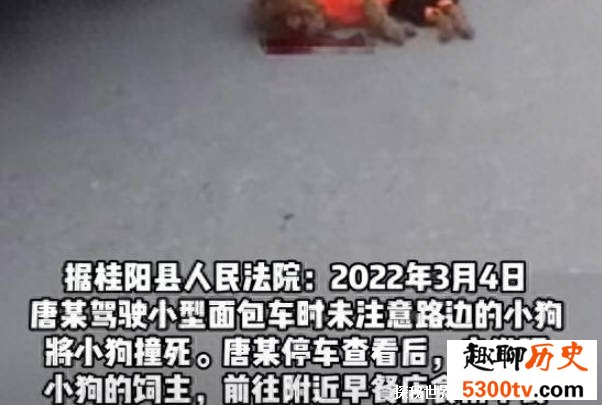 车主撞死小狗后推倒狗主致其死亡 失手致人死亡的判决