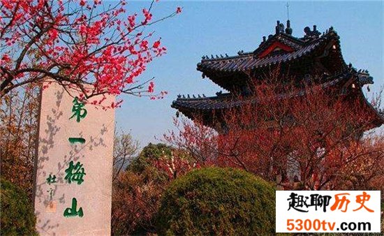中国最美丽的十大梅园大盘点，寒风中的粉色美少女！