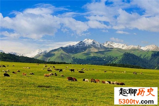 盘点中国十大最美草原排行榜，假期旅游必去圣地！