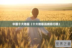 中国十大地板（十大地板品牌排行榜）