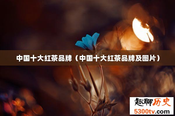中国十大红茶品牌（中国十大红茶品牌及图片）