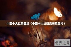 中国十大红茶品牌（中国十大红茶品牌及图片）
