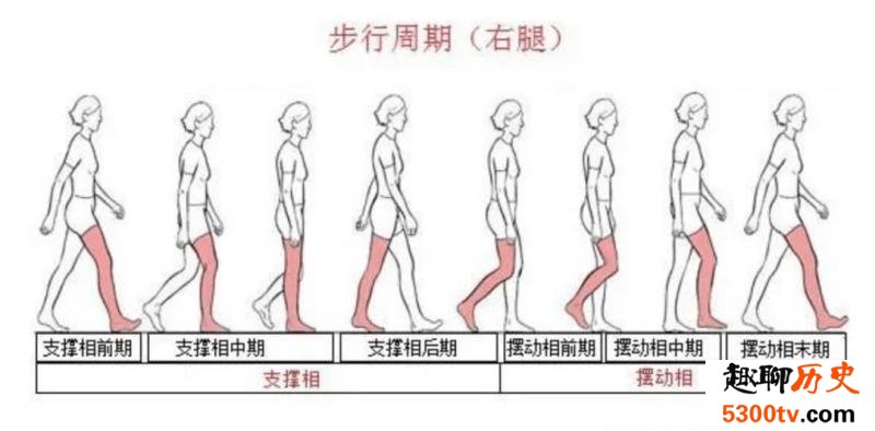 你会正确走路吗
