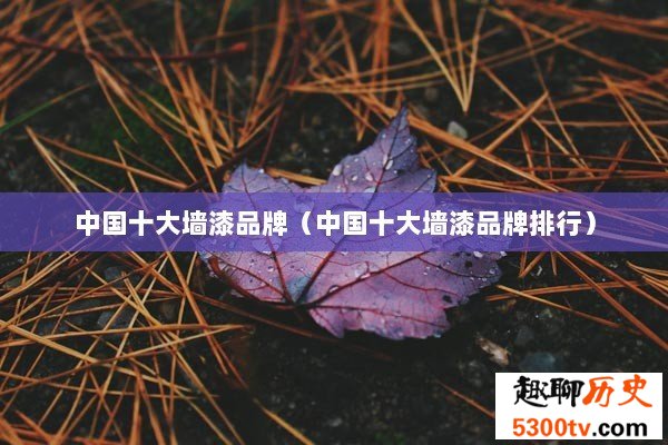 中国十大墙漆品牌（中国十大墙漆品牌排行）
