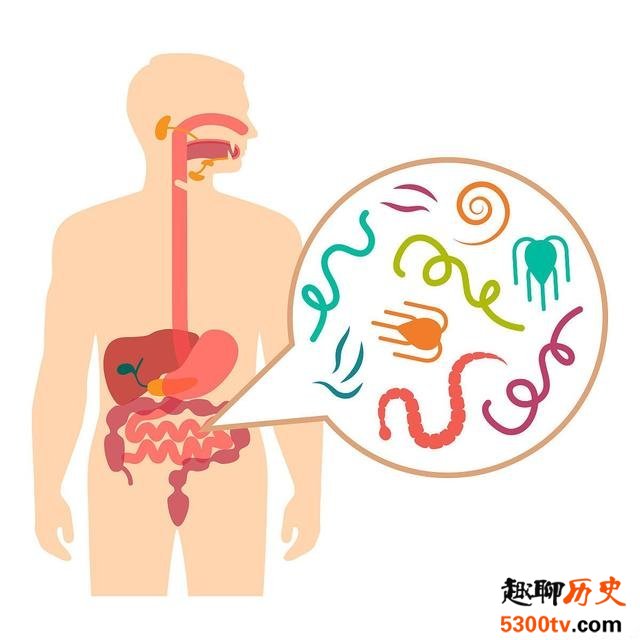 蔬菜水果中也会有寄生虫