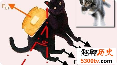 黄油猫悖论是什么东西？虚假的理论博取关注度罢了