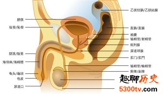 失去男性生殖器官的太监应该怎么办，太监生活大揭秘