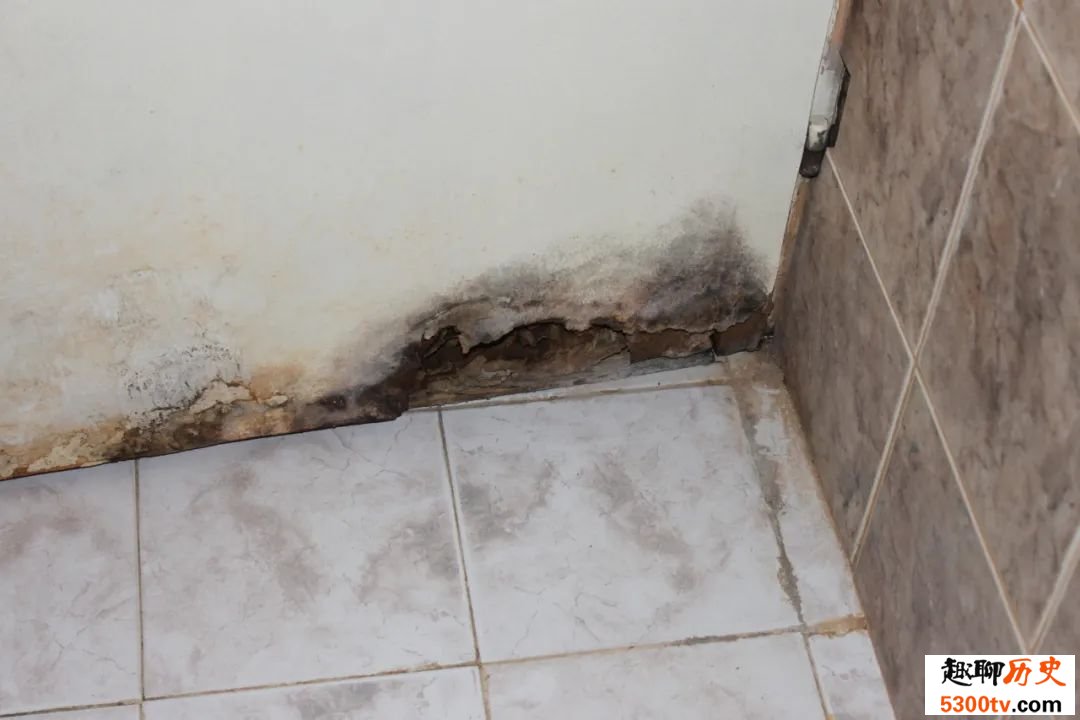 为什么拖完地瓷砖有股腥味