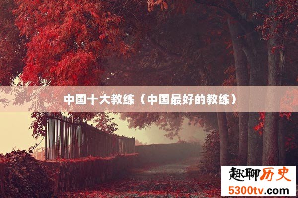 中国十大教练（中国最好的教练）