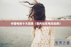 中国电池十大品牌（国内知名电池品牌）